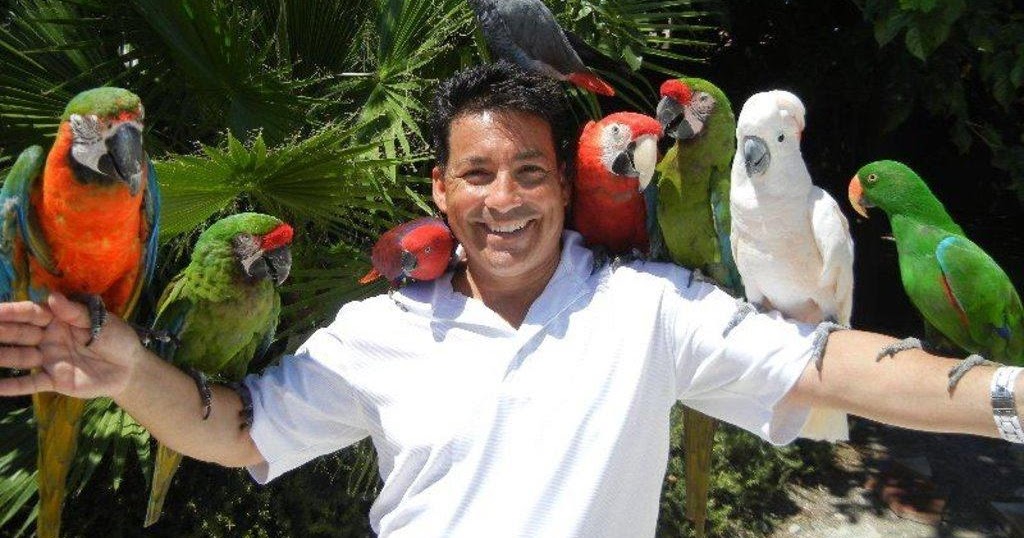 Clint Carvalho and his Extreme Parrots 1